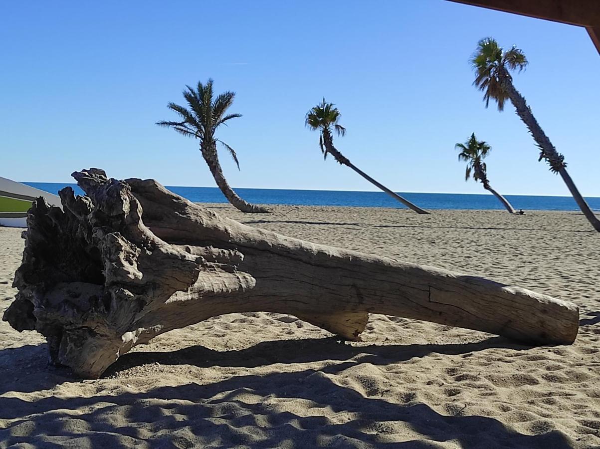 Vue Mer Panoramique Wifi Gratuit Le Barcares Exterior photo